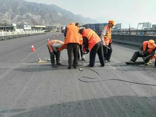 龙山道路桥梁病害治理